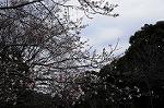 Dcim7422/DSC_4930