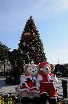 Dcim7429/DSC_5435