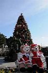 Dcim7429/DSC_5437