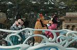 Dcim7437/DSC_7560