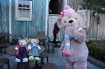 Dcim7444/DSC_6940