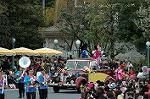 Dcim7447/DSC_7916