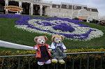 Dcim7449/DSC_7197