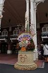 Dcim7449/DSC_7322
