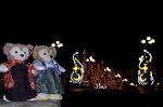 Dcim7465/DSC_9348