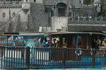 Dcim7492/DSC_8655