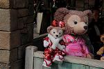 Dcim7496/DSC_2285
