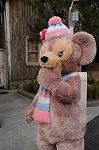 Dcim7496/DSC_2369