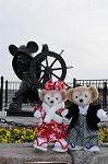 Dcim7498/DSC_2567