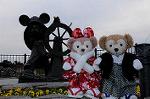 Dcim7498/DSC_2584