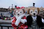Dcim7498/DSC_2629