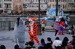Dcim7498/DSC_2698