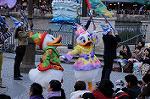 Dcim7499/DSC_2807