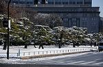 Dcim7503/DSC_3459