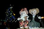 Dcim7505/DSC_9208