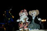 Dcim7505/DSC_9215