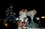 Dcim7505/DSC_9229
