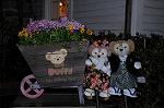 Dcim7511/DSC_4220