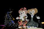 Dcim7513/DSC_4573