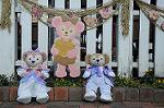 Dcim7515/DSC_4683