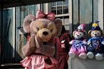 Dcim7523/DSC_5421