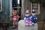 Dcim7525/DSC_5650