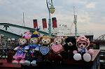 Dcim7526/DSC_5818