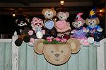 Dcim7527/DSC_6000