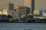 Dcim7534/DSC_6872