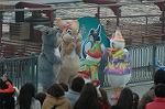 Dcim7537/DSC_0003