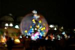 Dcim7537/DSC_0089