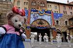 Dcim7538/DSC_6907