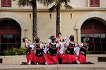 Dcim7538/DSC_6960