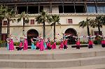 Dcim7541/DSC_7382