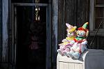 Dcim7551/DSC_8328