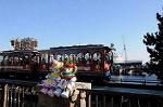 Dcim7553/DSC_8528