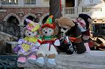 Dcim7553/DSC_8591