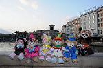 Dcim7554/DSC_8729
