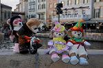 Dcim7554/DSC_8734