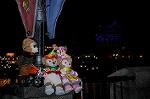 Dcim7555/DSC_8872