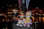 Dcim7556/DSC_8874