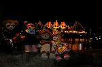 Dcim7556/DSC_8891
