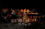 Dcim7556/DSC_8892