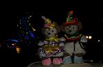 Dcim7556/DSC_8954