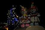 Dcim7556/DSC_8958
