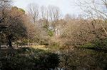 Dcim7570/DSC_0064