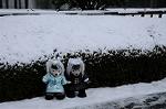 Dcim7571/DSC_0075
