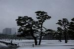 Dcim7571/DSC_0091