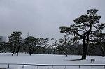 Dcim7571/DSC_0095