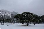 Dcim7571/DSC_0104